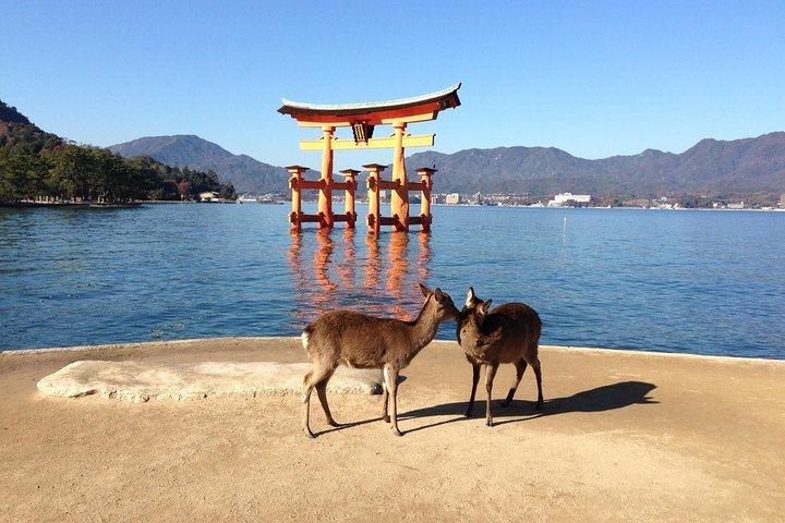 Miyajima dagtour