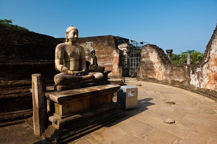 Polonnaruwa Ancient Kingdom y Wild Elephant Safari desde Kandy