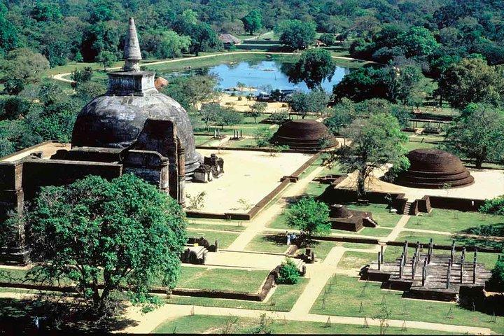 Polonnaruwa Ancient Kingdom y Wild Elephant Safari desde Kandy