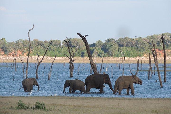 ハバラナのカウダラ国立公園サファリ