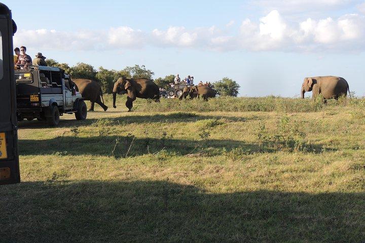 ハバラナのカウダラ国立公園サファリ