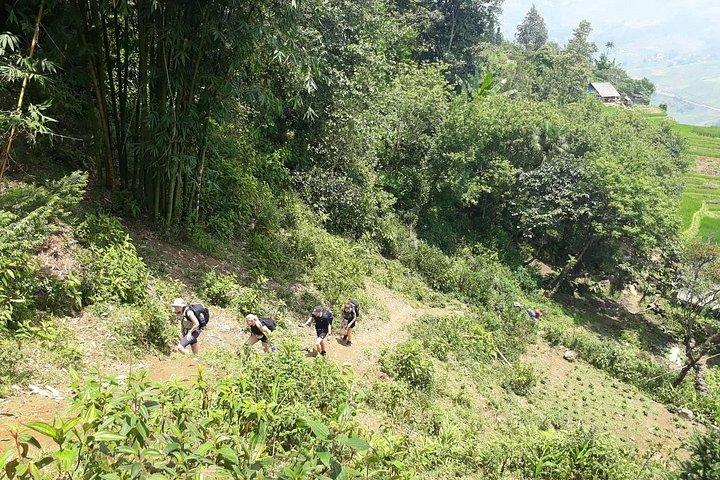 Private Car and Tour Guide Exploring Northern Vietnam