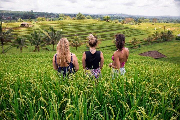 Private Bali Tour: Die landschaftlich schönsten Orte