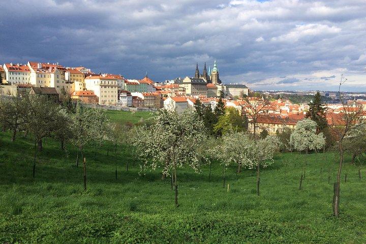 Visite de la ville au château de Prague