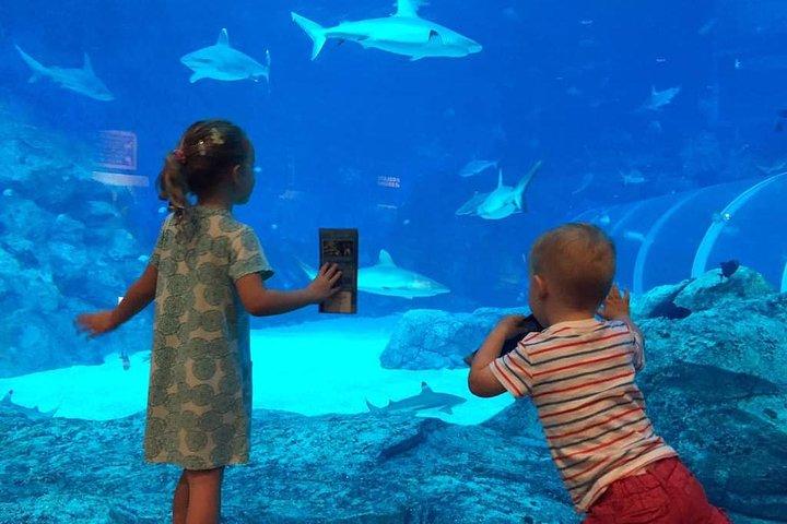 Singapore Universal Studio & S.E.A Aquarium-COMBO One-Day Pass (transferencia compartida)