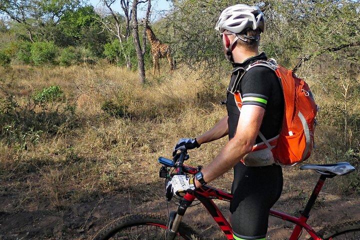 Kilimanjaro cykelparksafari