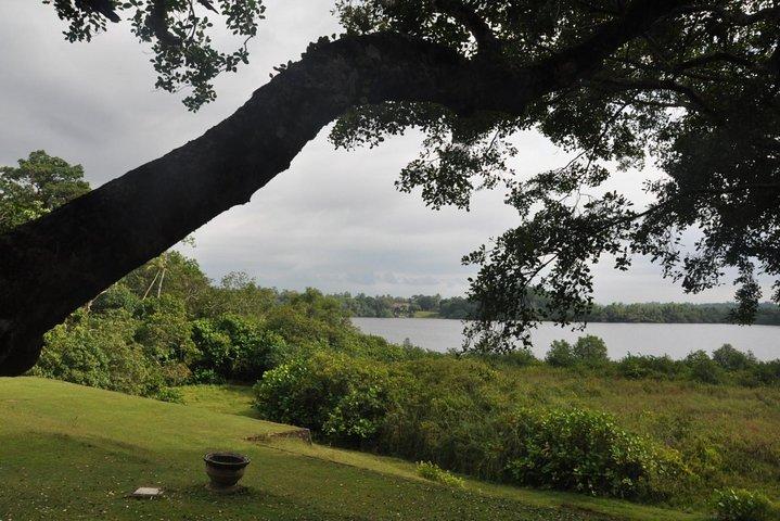 Bentota City Tour von Mirissa