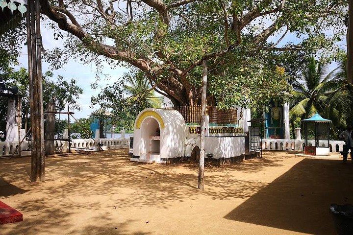 Giro costiero a Galle da Negombo