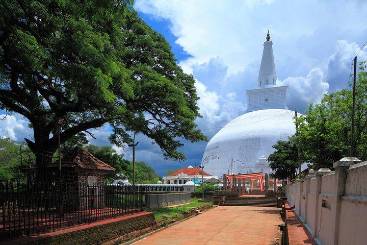 Den hellige by Anuradhapura fra Negombo
