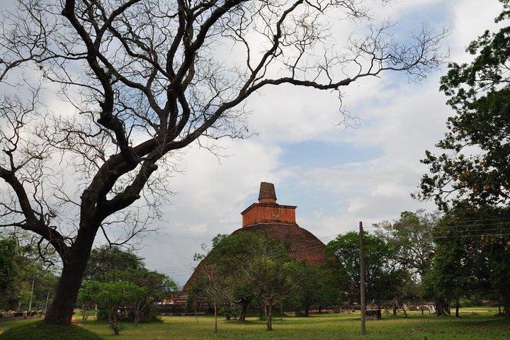 Den hellige by Anuradhapura fra Negombo