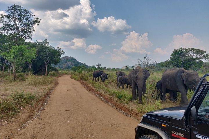 Hurulu Eco Park Safari vanuit Kandy