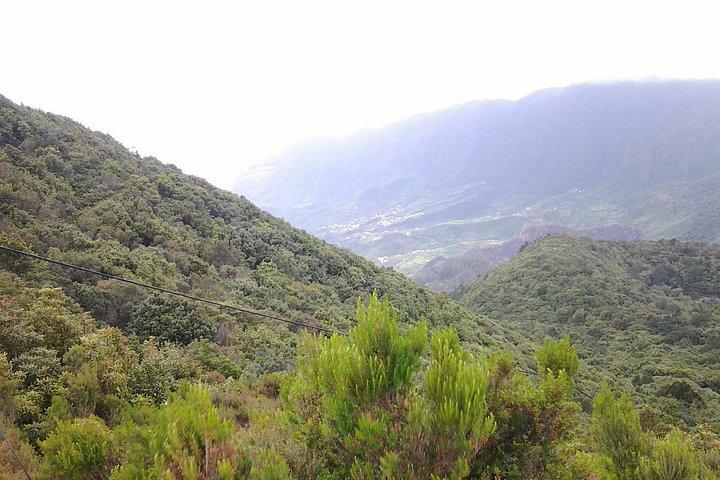Fanal e Porto Moniz: O Lado Icónico