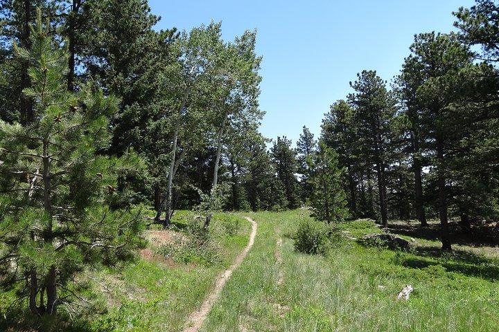 Wandern Sie die Rockies Halbtagestour