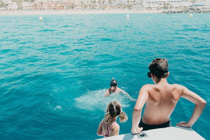 Tenerife: osservazione di balene e delfini