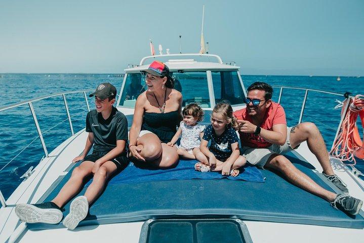 Tenerife: osservazione di balene e delfini