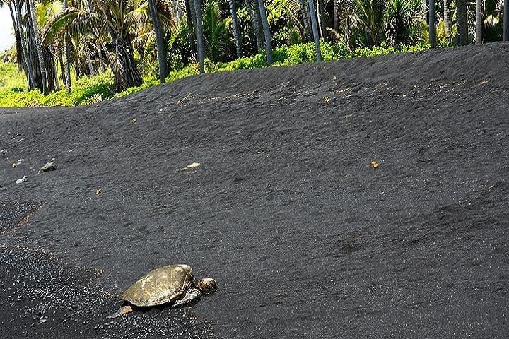 ハワイ火山国立公園をハワイ島から体験