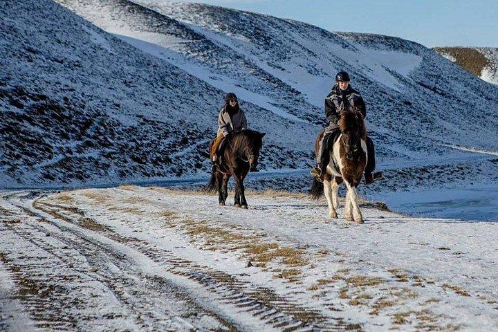 北アイスランドでのバイキング乗馬体験