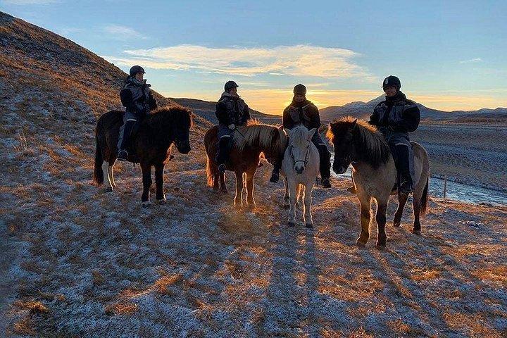 北アイスランドでのバイキング乗馬体験