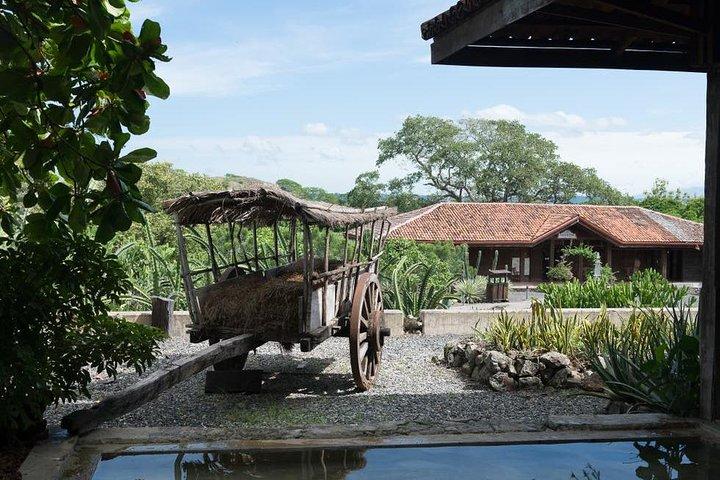 Palo Verde Jungle Tour