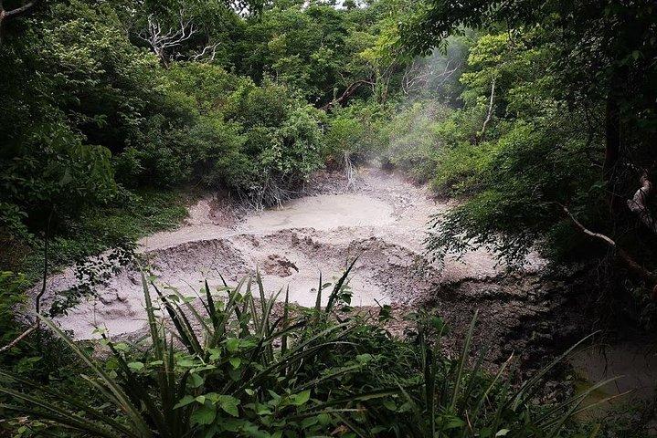 Excursion au volcan Rincón de la Vieja et cascade d'Oropendola,
