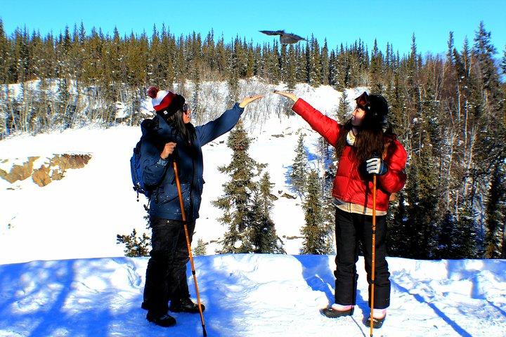 Randonnée aux chutes de Cameron au départ de Yellowknife