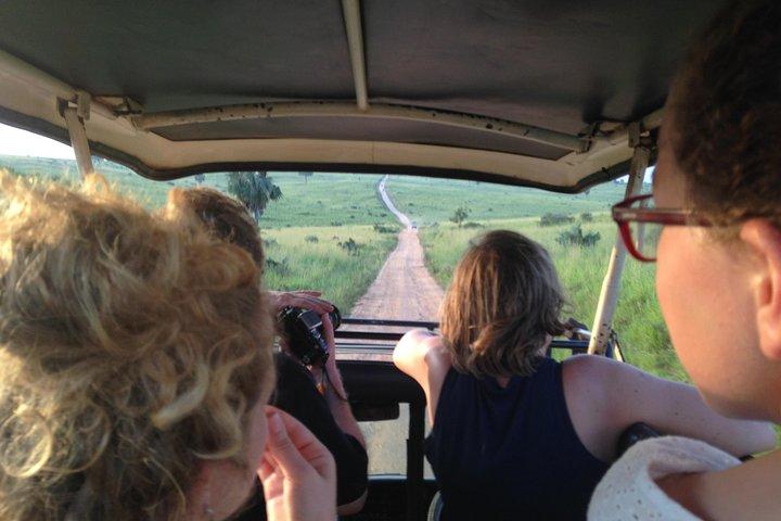 3 - Safari alle Cascate di Murchison e tracciamento del rinoceronte di Ziwa