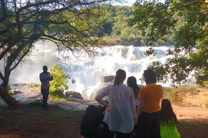 3 - Dia Murchison Falls Safari e Ziwa Rhino Tracking