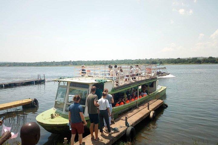 3 - Dia Murchison Falls Safari e Ziwa Rhino Tracking