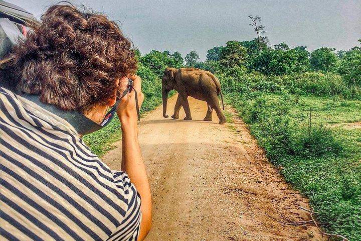 Sri Lanka tour itinerary . 6N/7D with driver, vehicle and H/B accommodations