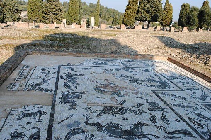 Group Excursion fron Sevilla to Italica (Seville Roman Town)