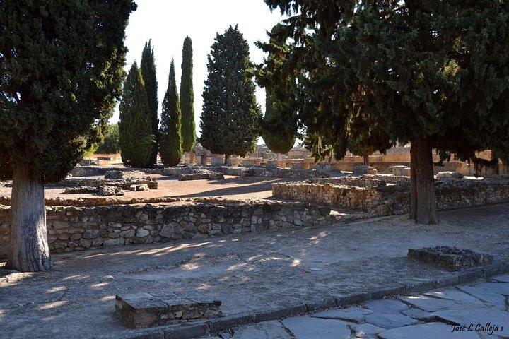 Groepsexcursie van Sevilla naar Italica, de Romeinse stad Sevilla