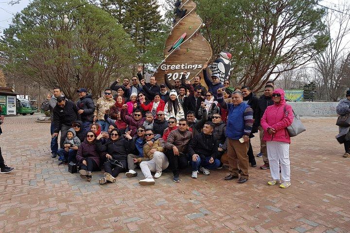 14日間ワンダフルコリアツアー(食事・宿泊込み)