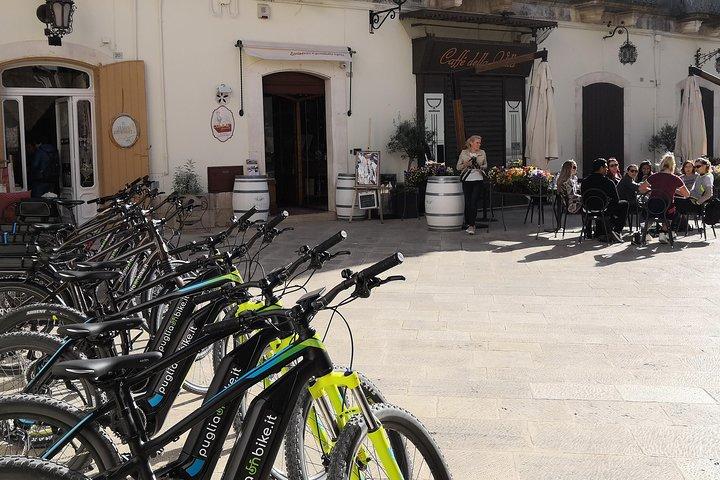 GPS tour in E-Bike sulla ciclovia dell'acquedotto Pugliese con degustazione vini