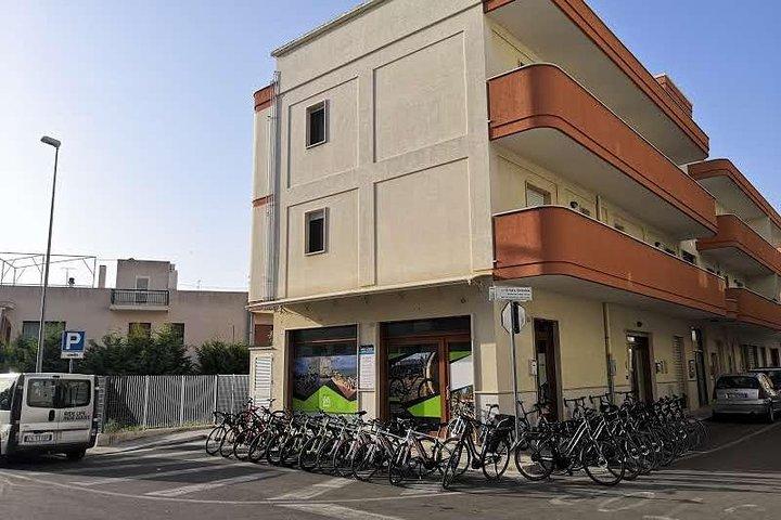 GPS tour in E-Bike sulla ciclovia dell'acquedotto Pugliese con degustazione vini