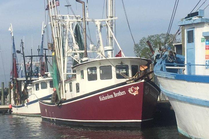 Escenas de la historia de Shem Creek y tour a pie de camarones