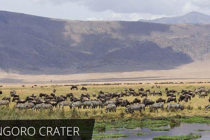 2 dages privat lodge-safari til Serengeti National Park