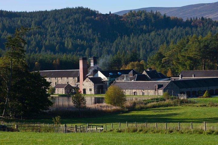 Tour di un giorno del gruppo privato Aberdeen & Shire Castle & Distillery