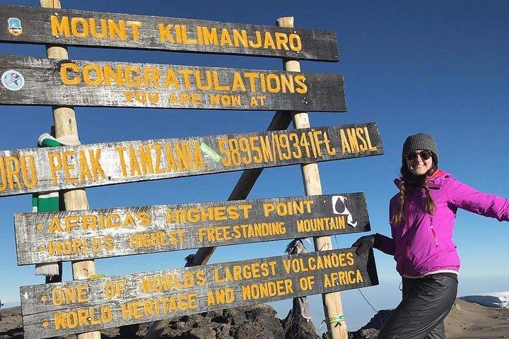 Kilimanjaro-bestigning - 8 dages Lemosho-rute