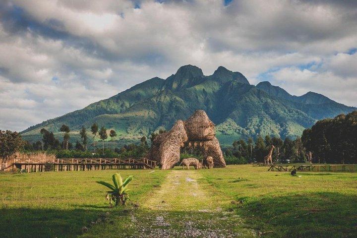 9 giorni Ruanda Wildlife & Congo Nilo Nature Experience