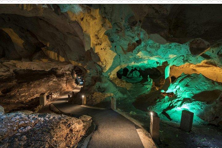 Visite de la grotte verte depuis Montego Bay