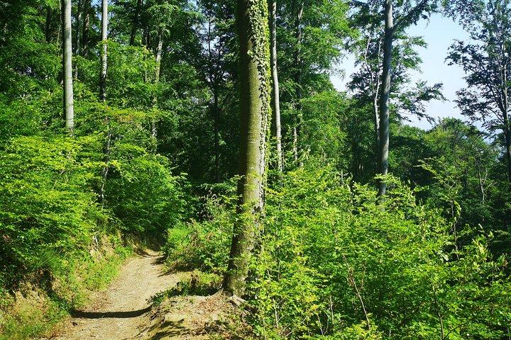 Perceive Zagreb Like a Local - Medvednica Nature Park Hiking