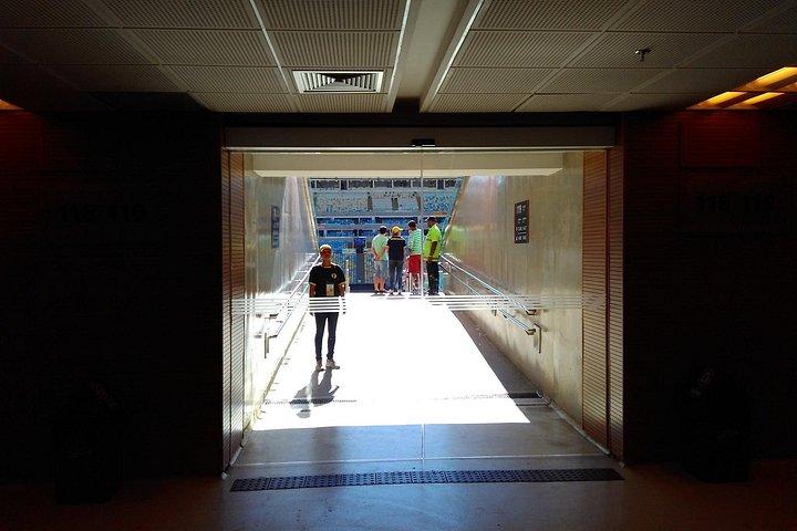 Maracanã Stadium Tour: Behind the Scenes Experience