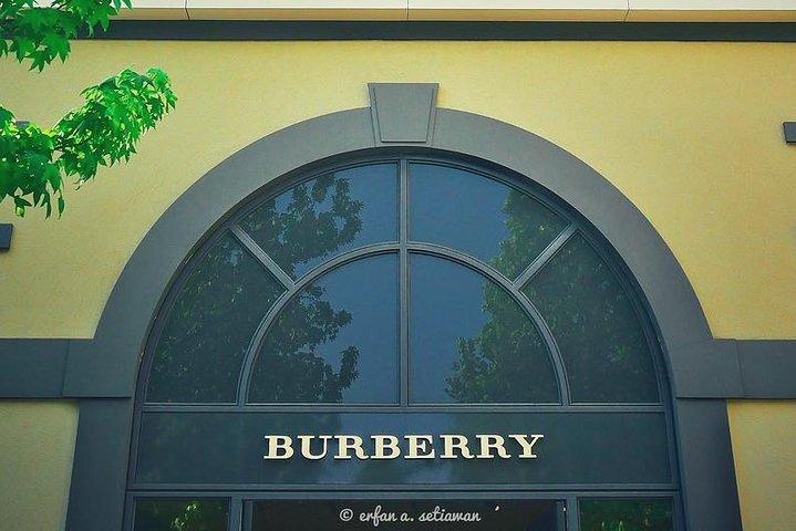 アムステルダム発デザイナーアウトレット ルールモントへのプライベートツアー