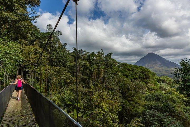 Hängande broar + La Fortuna Waterfall + Arenal Volcano Hike Combo Experience