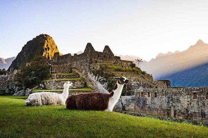 Machu Picchu En Tren (2 Días)