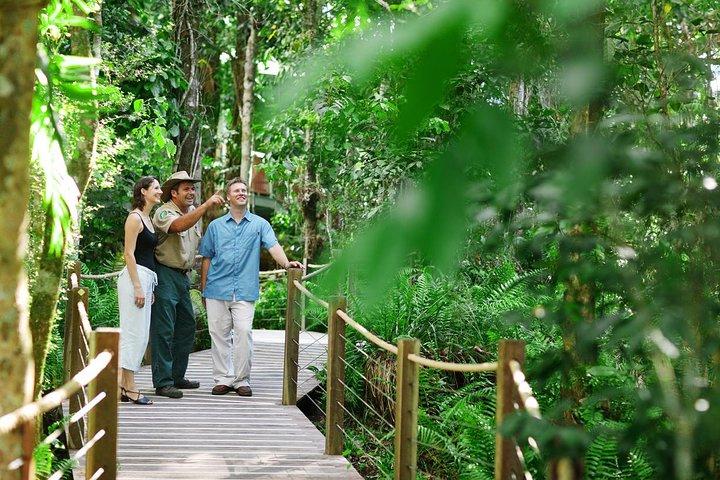 Tambopata 3-dagars Amazonastur : Macaws, Caimans & Jungle