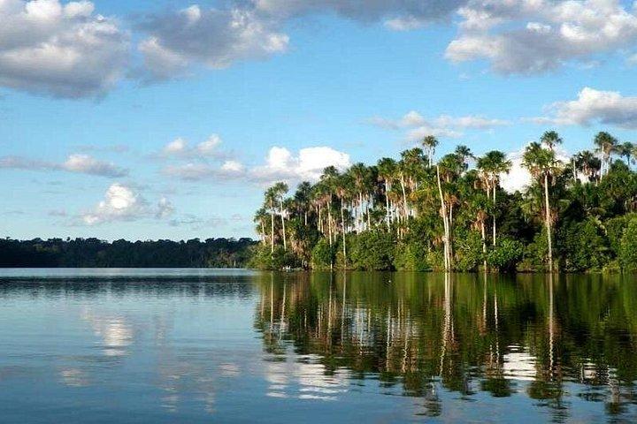 Tambopata 3-dagars Amazonastur : Macaws, Caimans & Jungle