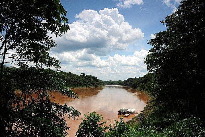 Tambopata 3-dagars Amazonastur : Macaws, Caimans & Jungle