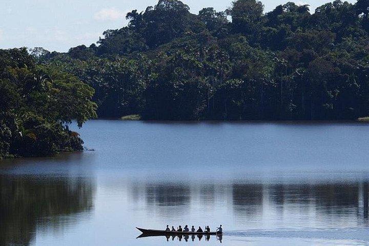 Tambopata 3-dagars Amazonastur : Macaws, Caimans & Jungle