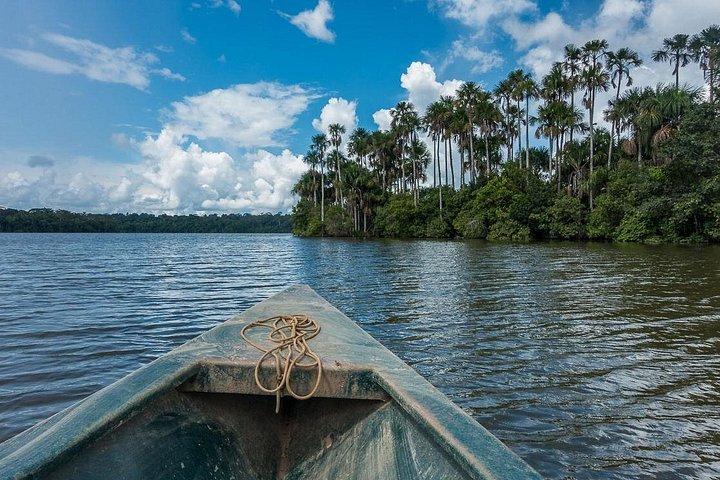 Tambopata 3-dagars Amazonastur : Macaws, Caimans & Jungle